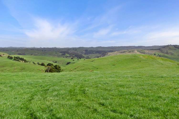 895 Wairamarama Onewhero Road Onewhero_8