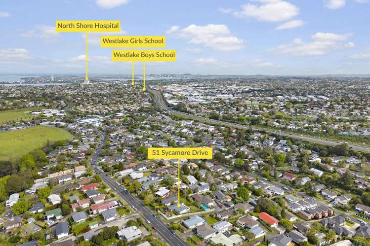 51 Sycamore Drive Sunnynook_20