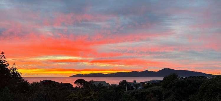 Lot 3, 126 Rosetta Road Raumati South_18