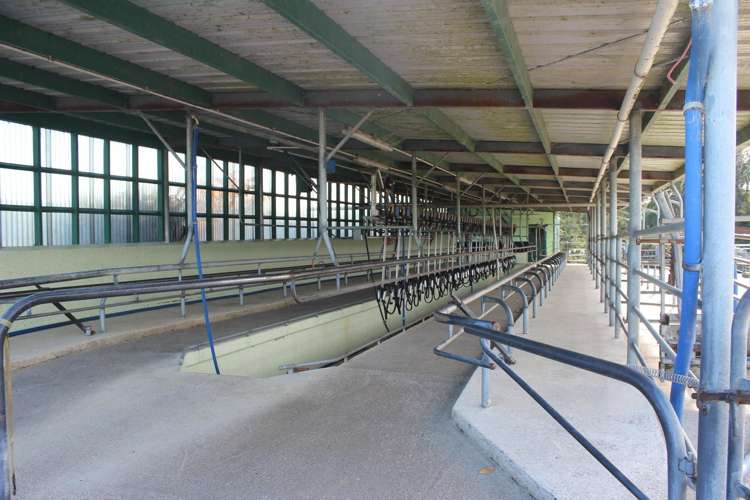 275 Cliff Road Eketahuna_6