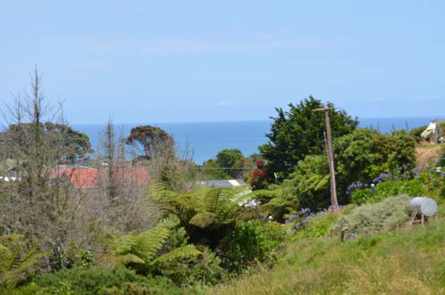 59 North Street Mokau_2