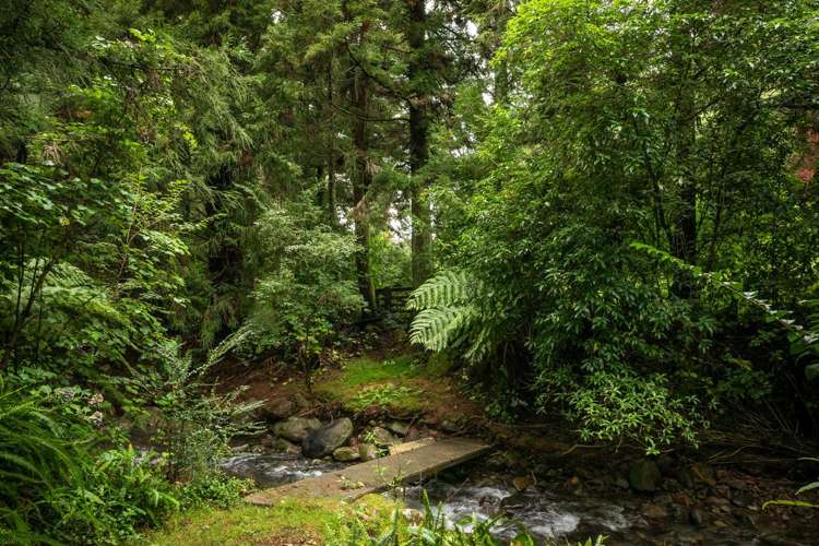 257 Willoughby Road Katikati_19