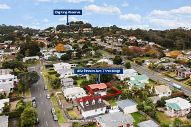 45A Princes Avenue_3