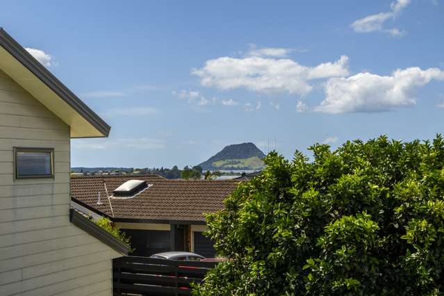 131c Edgecumbe Road Tauranga South_1