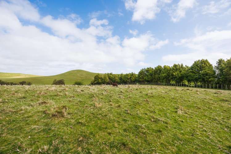 484 Finnis Road Pohangina_16