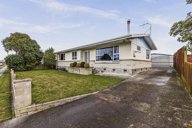 31 Plunket Street Tamatea_2