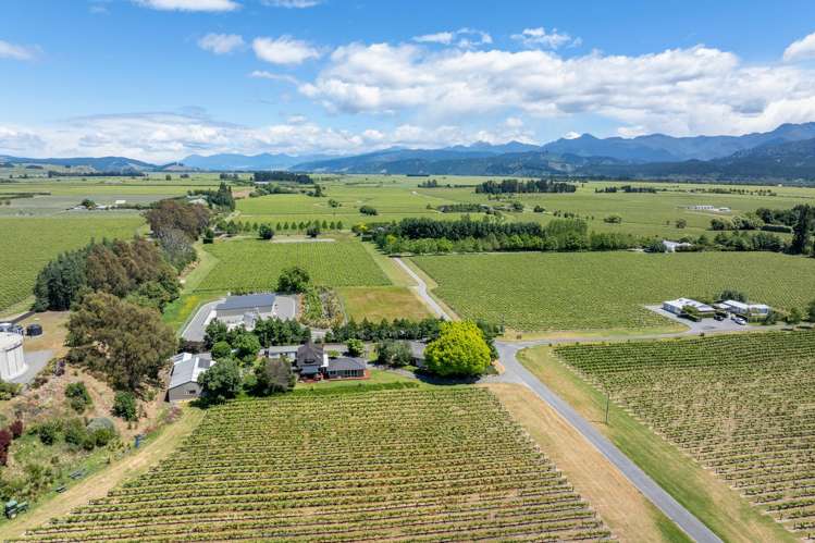 19 Terrace Road Renwick_15