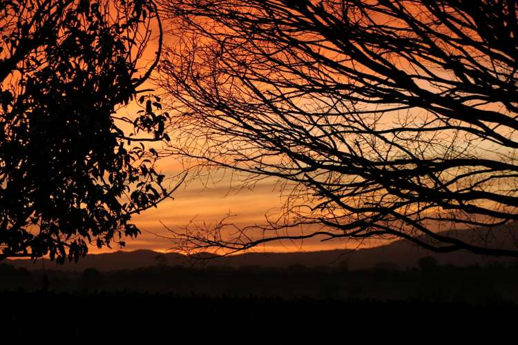 42 Budden Road Pokuru_21