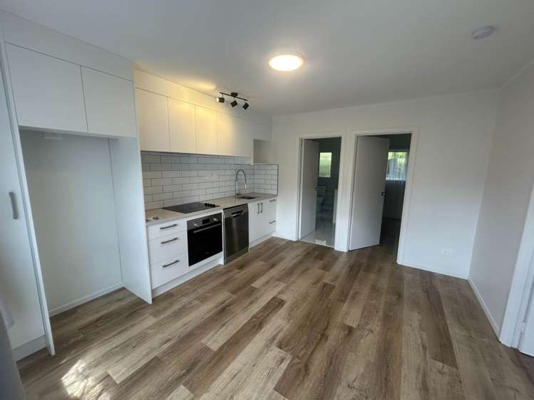 3/6 Tahora Avenue Remuera_3