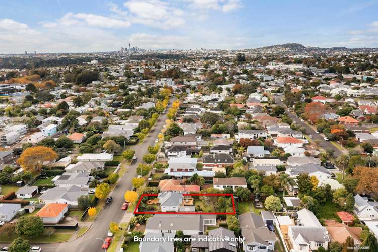 42 Springleigh Avenue Mount Albert_15