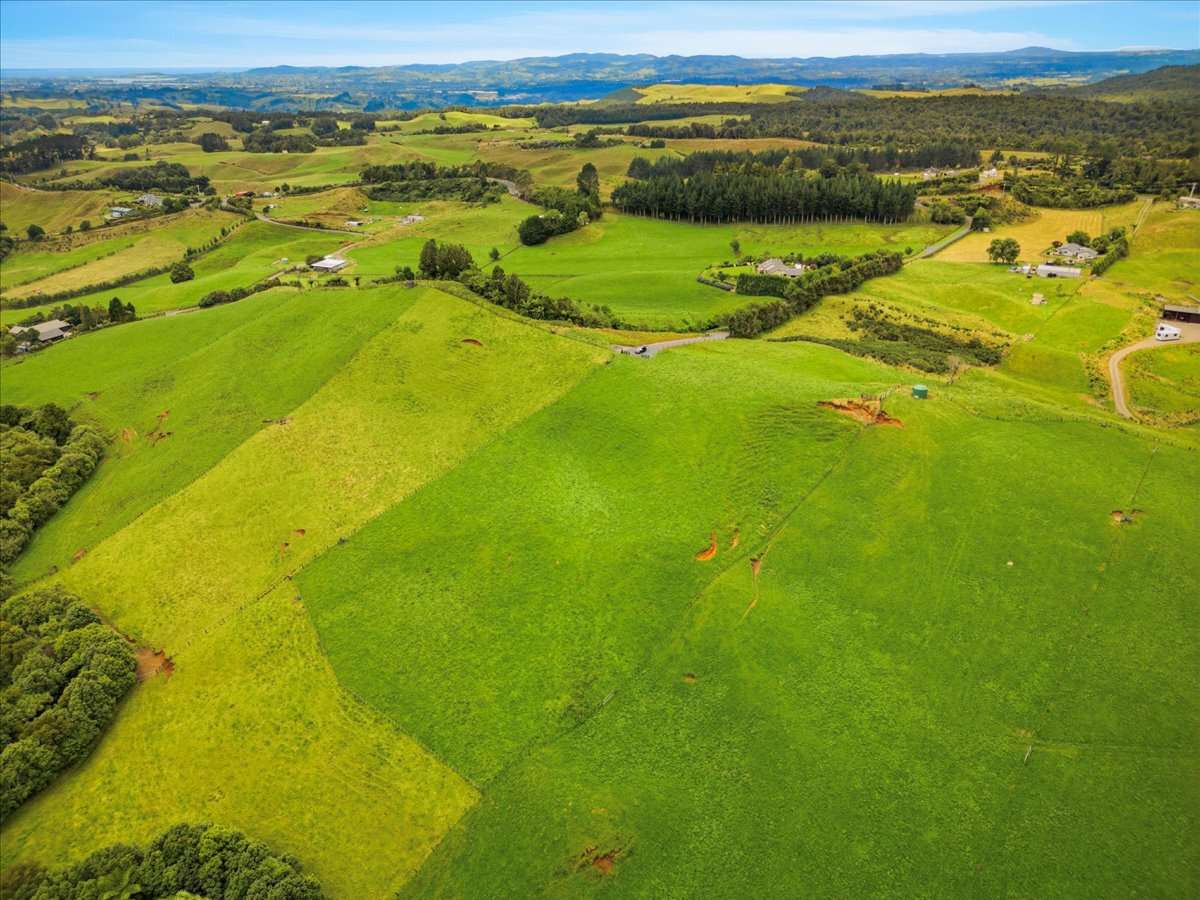 938C Whakamarama Road_5