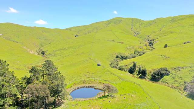 83 Towai Road Dannevirke_4