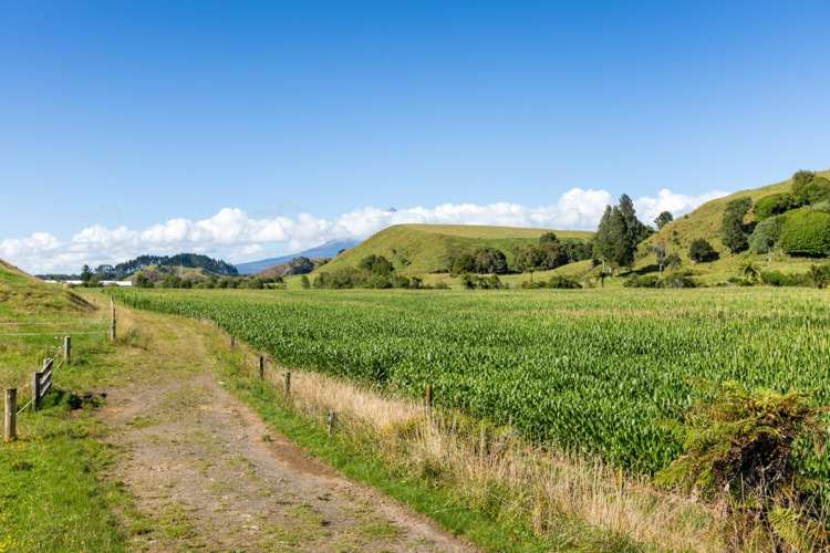 860 Egmont Road Hillsborough_10