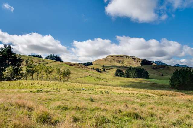 Mangleton Road Central Hawkes Bay Country_3