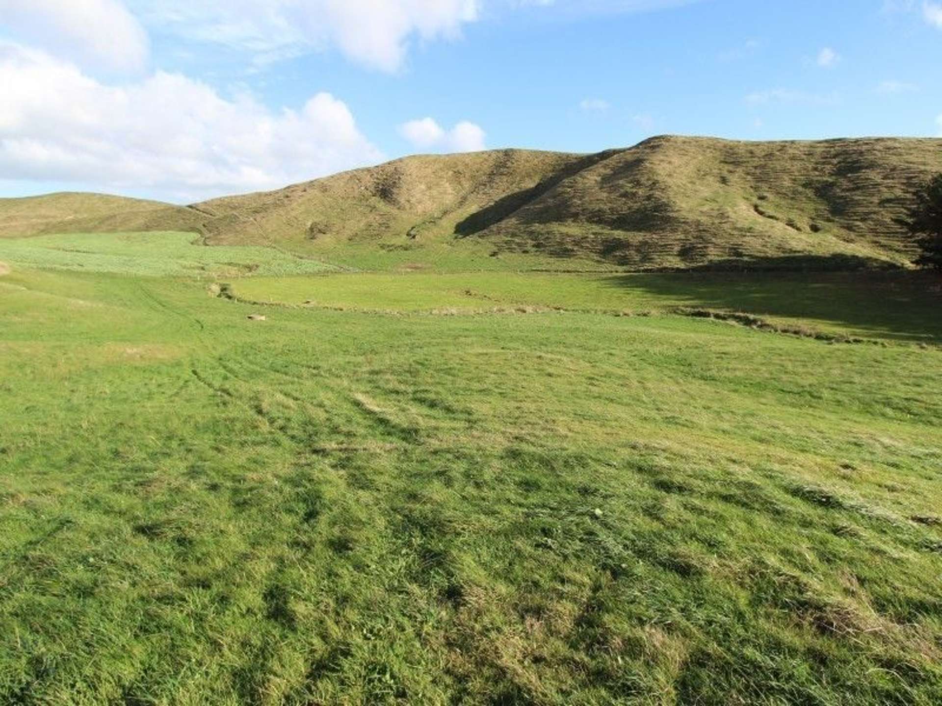 300 Nireaha Hukanui Road Eketahuna_0