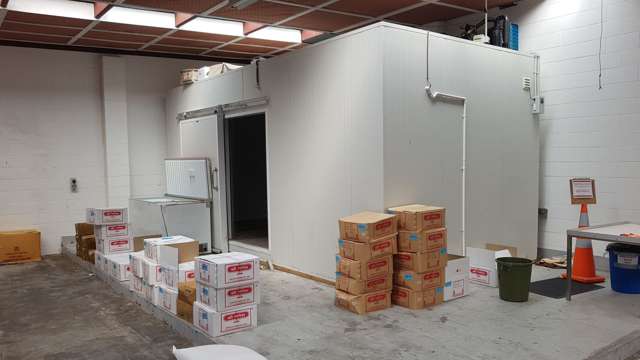 44 Victoria Street Street Petone_2