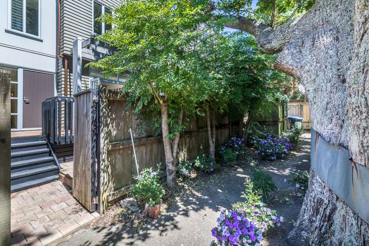 6m Carlton Gore Road Grafton_23