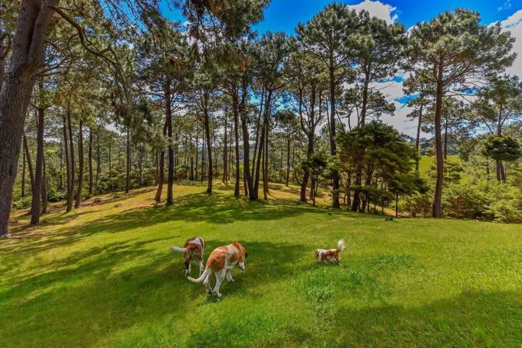 430 Ridge Road Coatesville_7