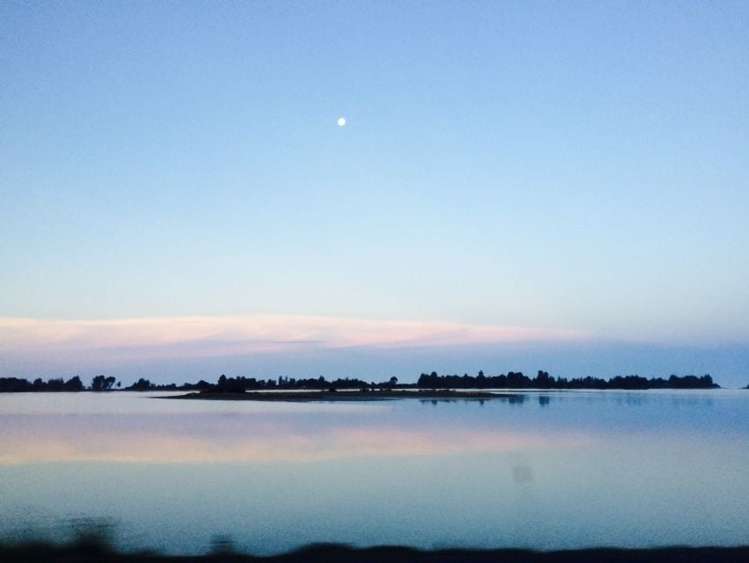 4/55 Green Street Tahunanui_4