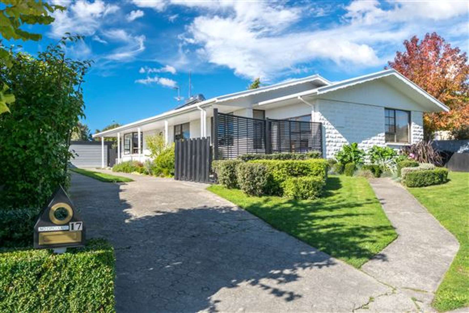 17 Mountain View Road Witherlea_0