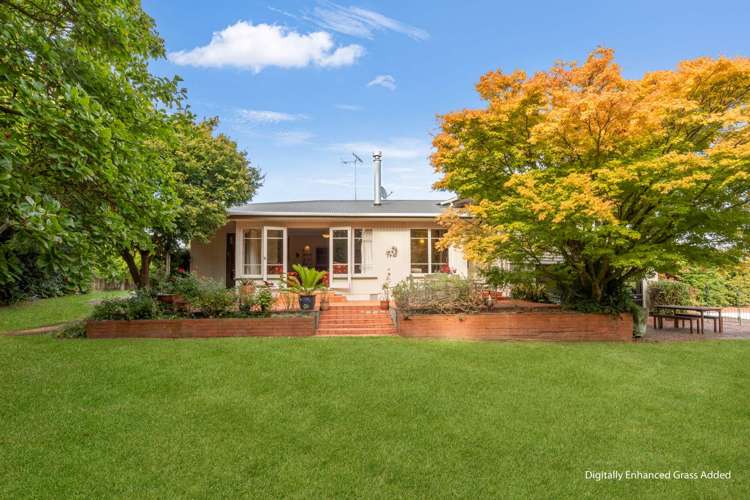 32a Stanley Street Levin_12