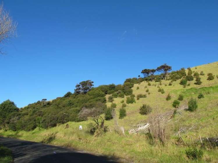 17 Te Punga Road Whangapoua_5