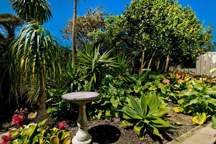 2/17 Sartors Avenue Northcross_16