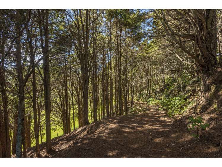 32 Konini Street Parahaki_14