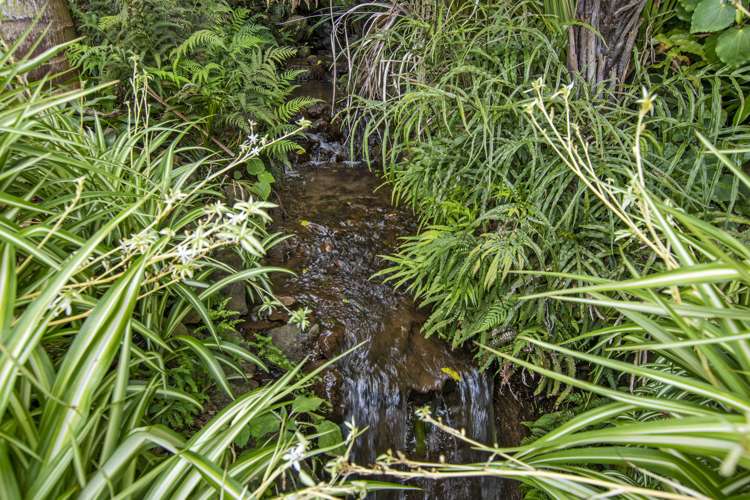 17 Granfield Place Kamo_32