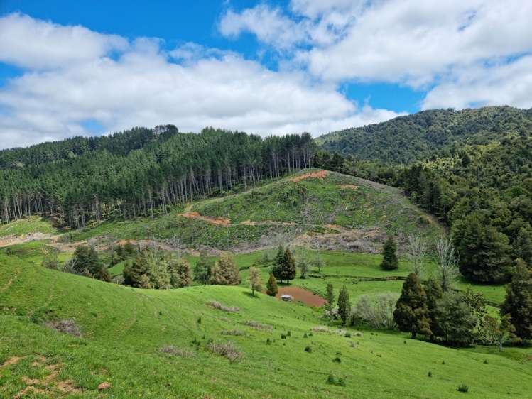 852 Mangawara Road Tahuna_16