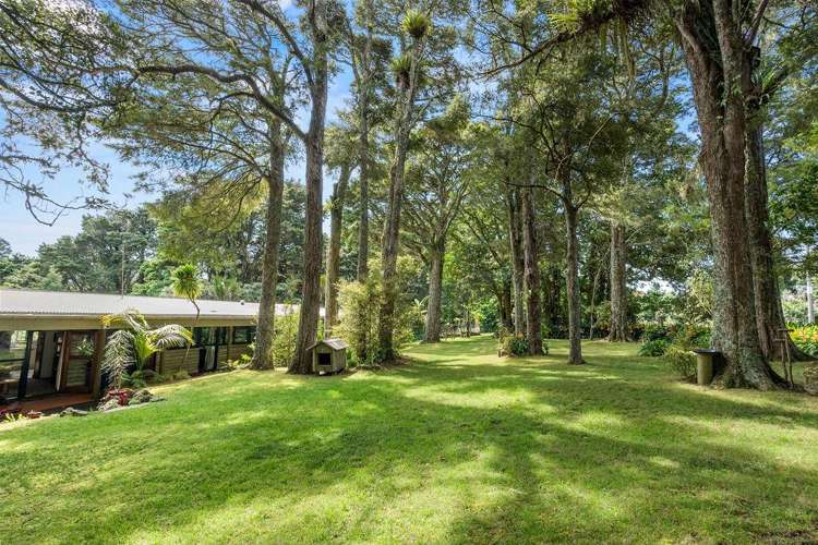 10 Waitaua Road Kauri_15