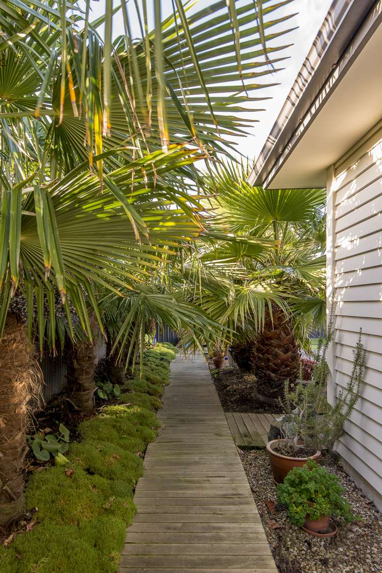 51a Diamond Avenue Spreydon_12