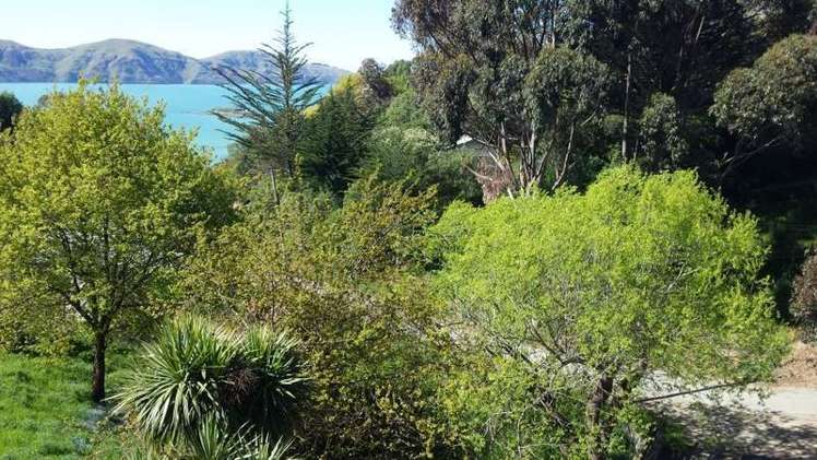 31 Rawhiti Street Diamond Harbour_5