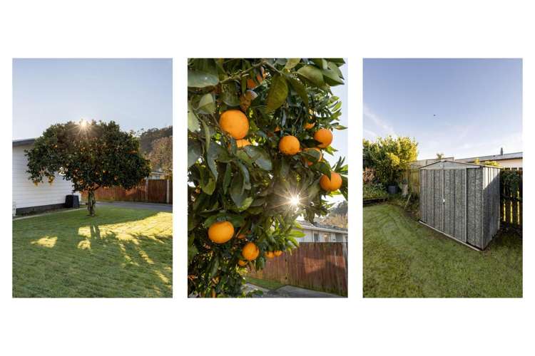 16 Arawa Road Whakatane_16