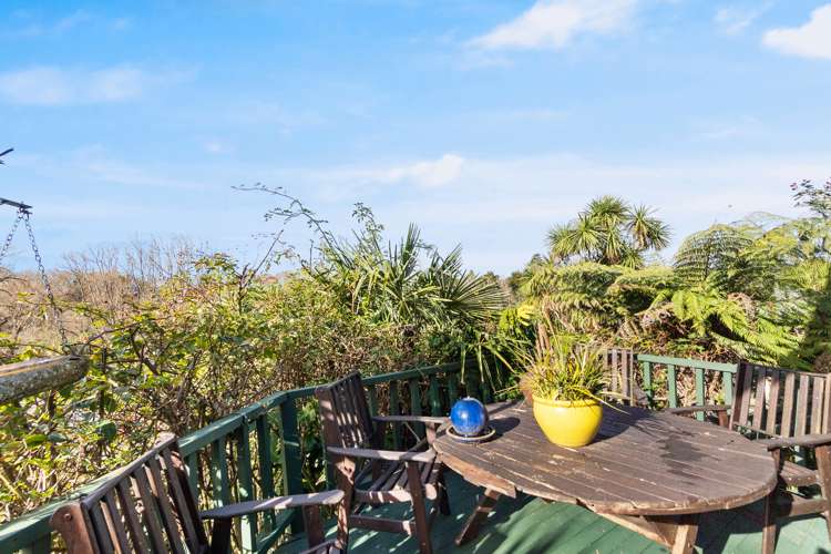 31 Hillsborough Terrace Hamilton Central_14