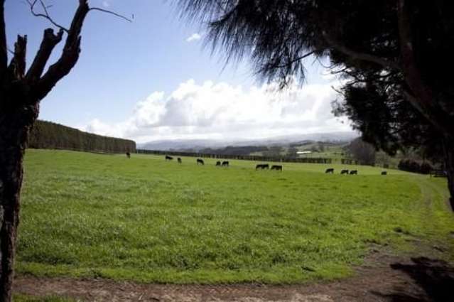 227 Hicks Road Cambridge_1