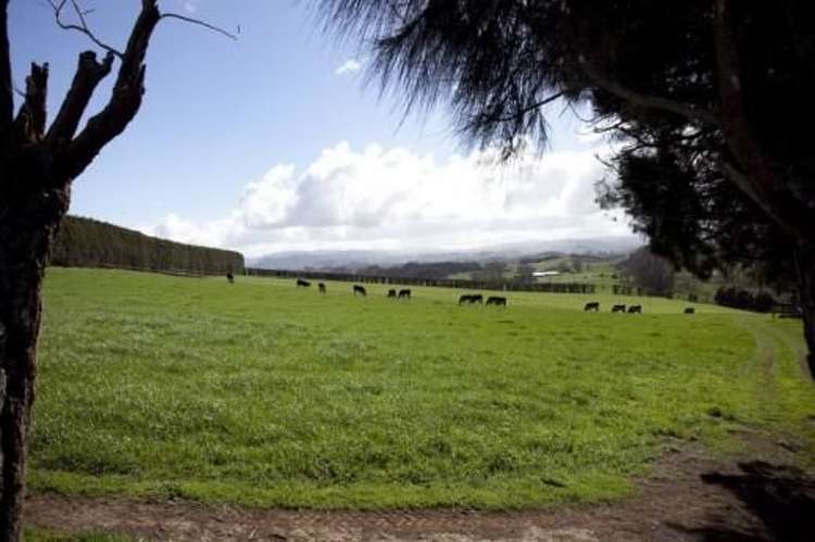 227 Hicks Road Cambridge_1