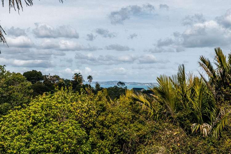 31a Frank Street Oneroa_30