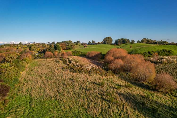 50 Cliff Road Tasman_6