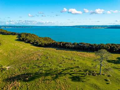 Share 18 Moturoa Island_2