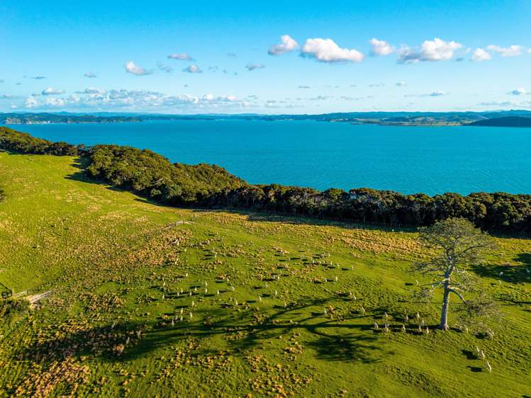 Share 18 Moturoa Island_2