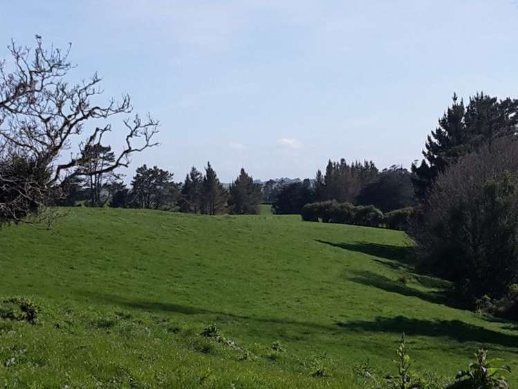 346 Rugby Road Tariki_38