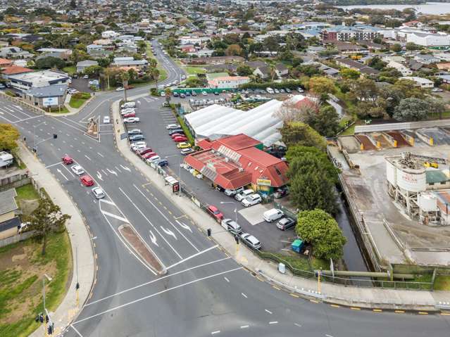 1 Forrest Hill Road and 4 Nile Road Milford_4