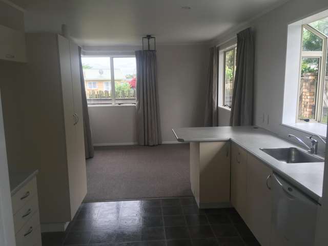 2a Morrice Avenue Morrinsville_1