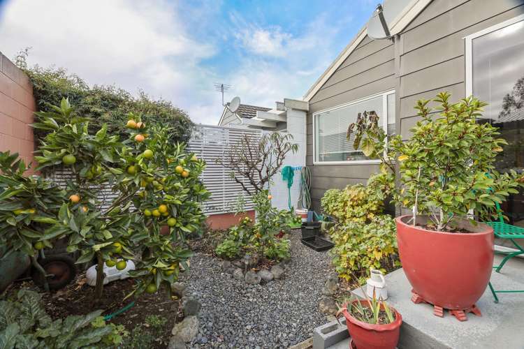 5/6 Poynter Street Blenheim Central_16