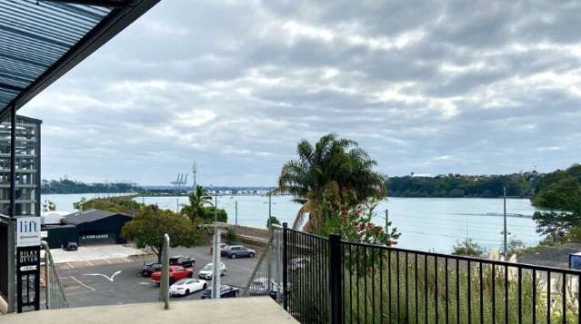 228 Orakei Road Remuera_4