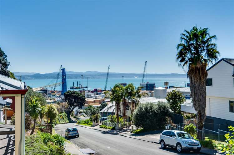 21 Hornsey Road Bluff Hill_22