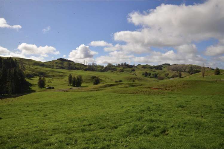 154 State Highway 3 Te Kuiti_6