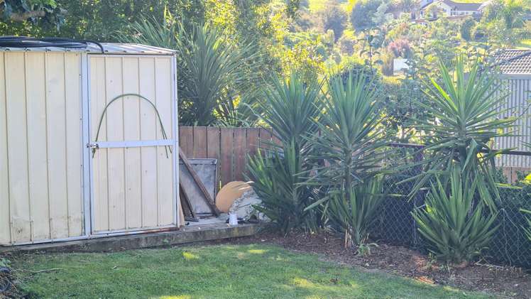 59 Thames Road Paeroa_14