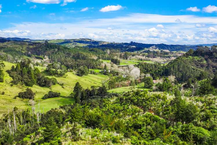 Lot 3 Radiata Road Warkworth_25